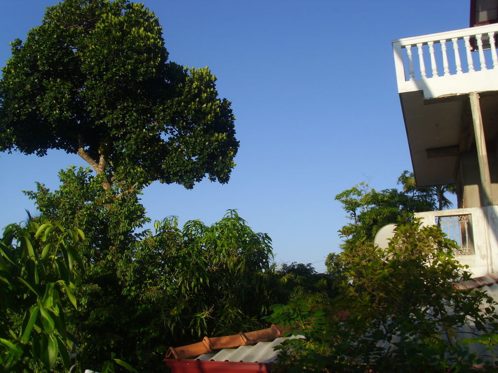 Mount View Villa Resort Mirissa Buitenkant foto